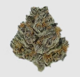Sundae Driver Pure Dakota
