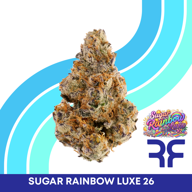 Sugar Rainbow Luxe #26 Reef