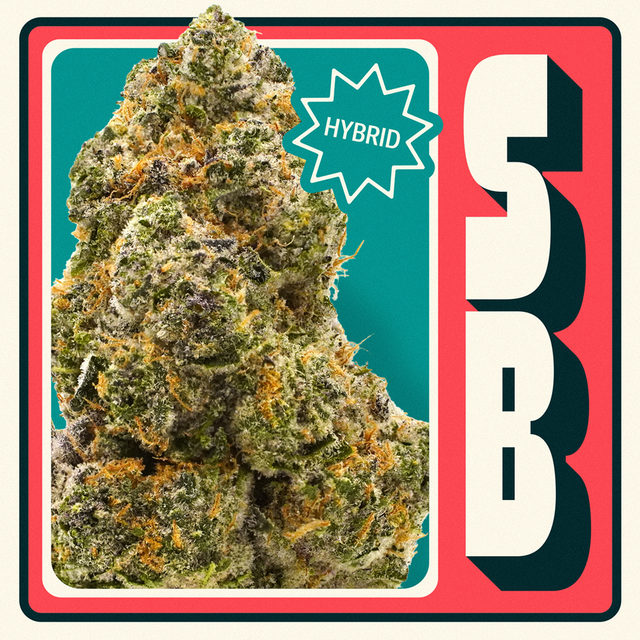 SB Neighborgoods