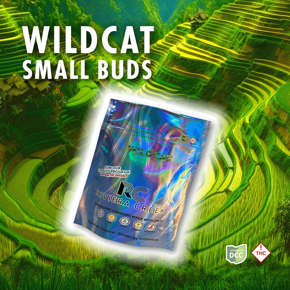 Wild Cat