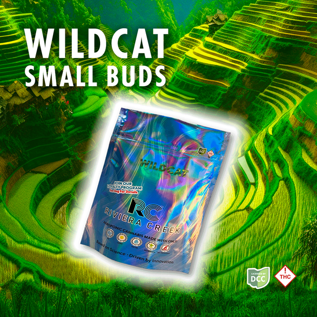 Wild Cat Riviera Creek