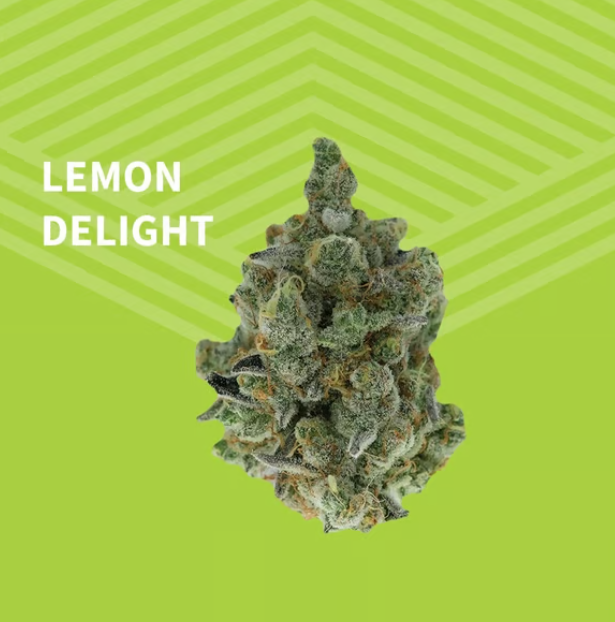 Lemon Delight Pure Dakota