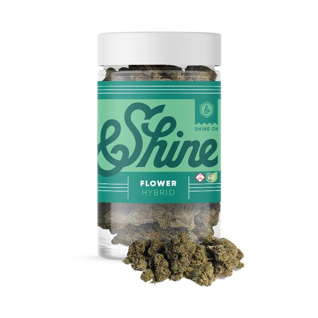 Gelato Punch Cookies &Shine