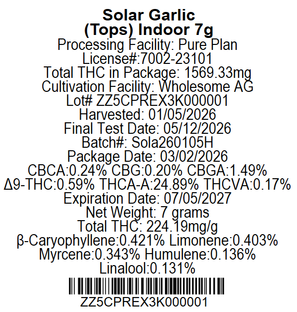 Solar Garlic Pure Plan Solar Garlic Pure Plan