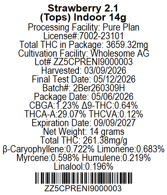 Strawberry 2.1 Pure Plan Strawberry 2.1 Pure Plan