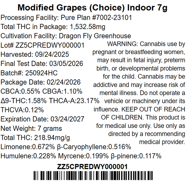 Modified Grapes Pure Plan Modified Grapes Pure Plan