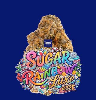 Sugar Rainbow Luxe #22 Reef