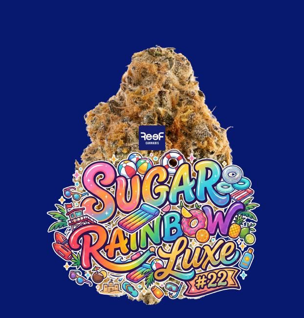 Sugar Rainbow Luxe #22 Reef