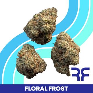 Floral Frost Reef