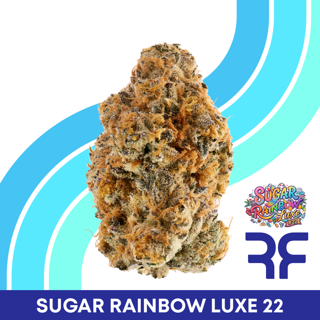 Sugar Rainbow Luxe #22 Reef