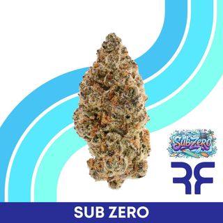 Sub Zero Reef