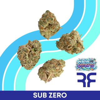 Sub Zero Reef