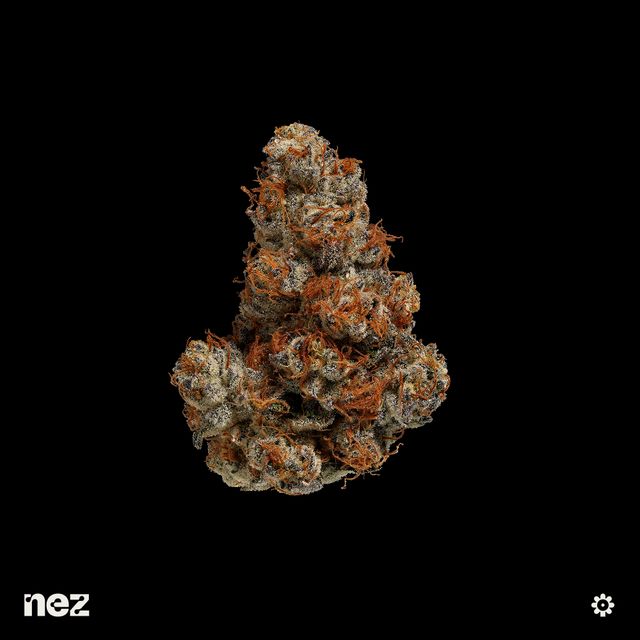 Swampwater Fumez NEZ Swampwater Fumez NEZ