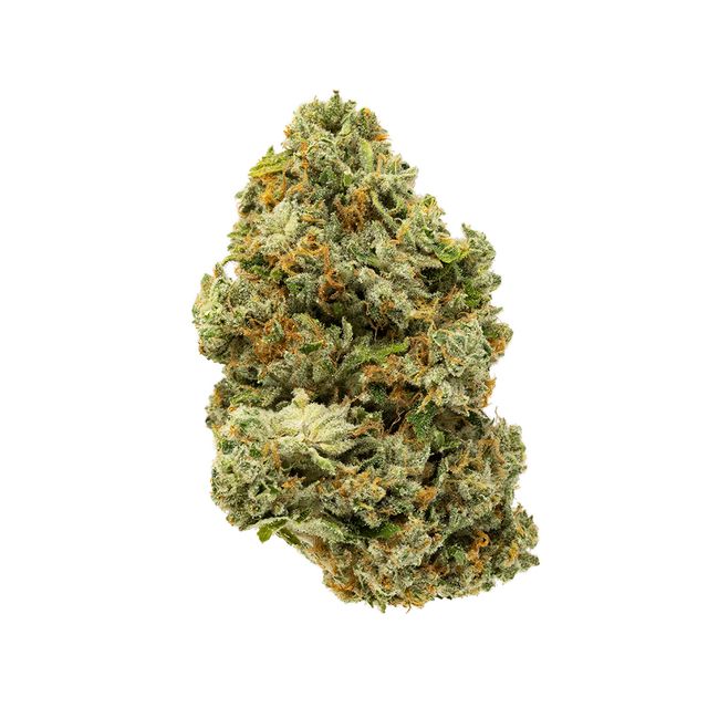Sticky Kush Terrapin