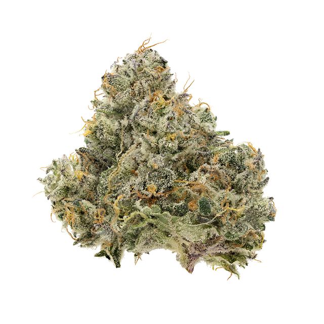 Cap Diesel Terrapin