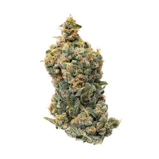 Cannabis Promo, Cannabis Sales, Descuentos en cannabis, Cannabis on Sale, ¡40% de descuento en productos Terrapin y Double Bear! 1