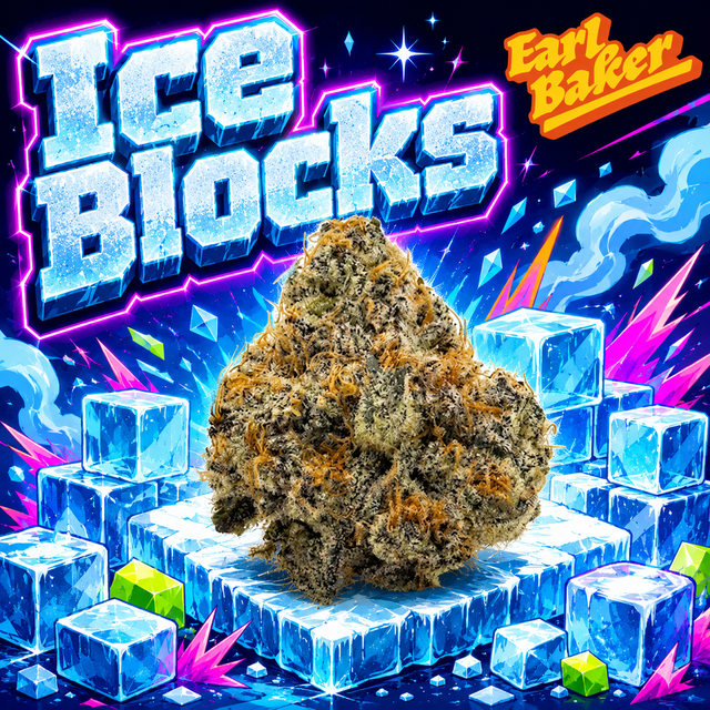 Ice Blocks Earl Baker