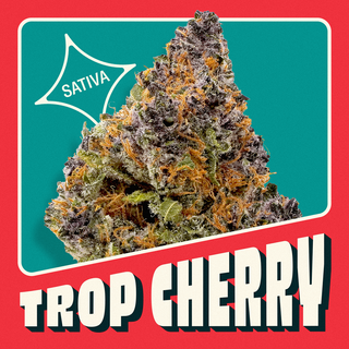 Cannabis Promo, Cannabis Sales, Cannabis Discounts, Cannabis on Sale, 25% off ALL 14.15g 3