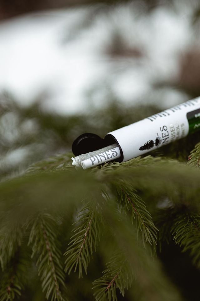 Lemon Cherry Mintz Pines
