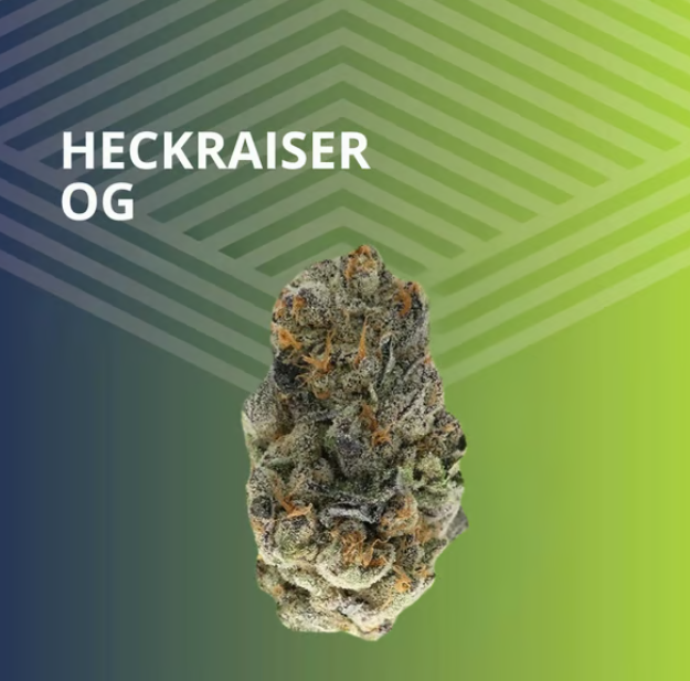 Heckraiser OG Pure Dakota