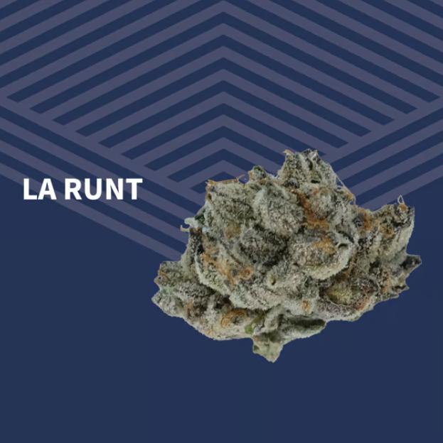LA Runt Pure Dakota