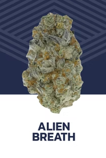 Alien Breath Pure Dakota