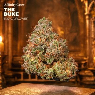 The Duke Affinity Grow