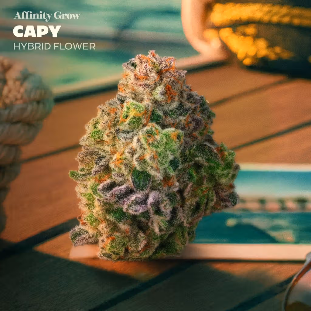 Capy Affinity Grow