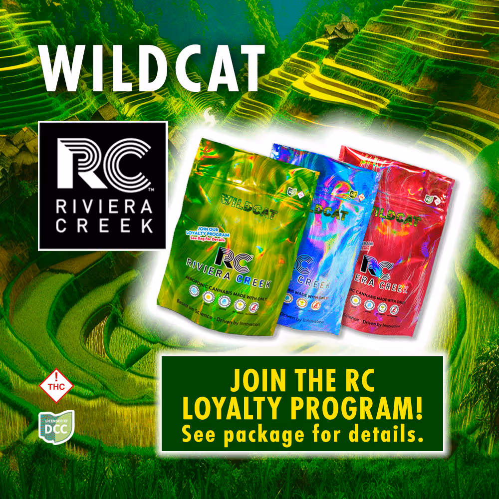 Wild Cat