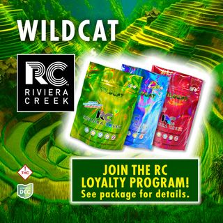 Wild Cat Riviera Creek