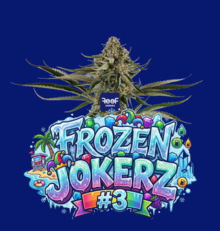 Frozen Jokerz #3 Reef