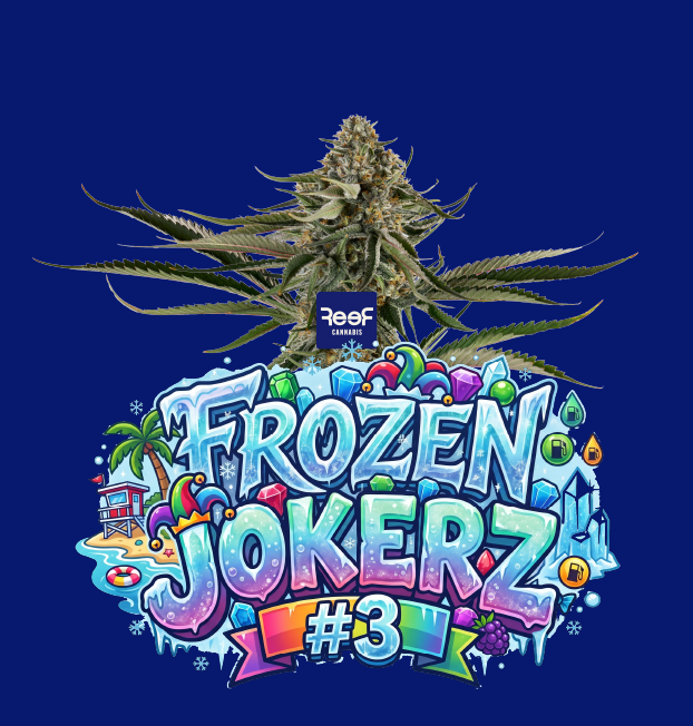 Frozen Jokerz #3 Reef