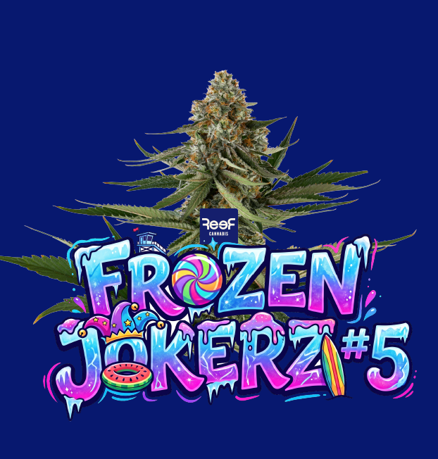 Frozen Jokerz #5 Reef