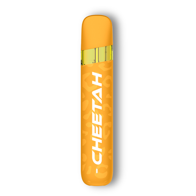 Bitter Orange Cheetah