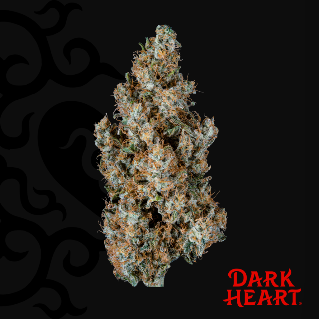 Dark Heart Titan Express Whole Flower 1g