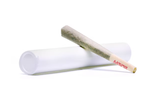 C.D.C.K Cannabis Cured