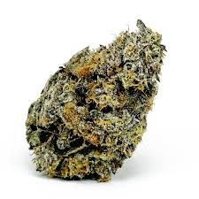 Gush Mintz Firestorm
