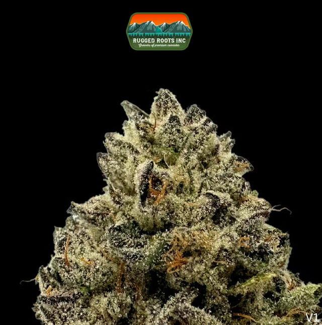 Ice Cream Sundae Rugged Roots