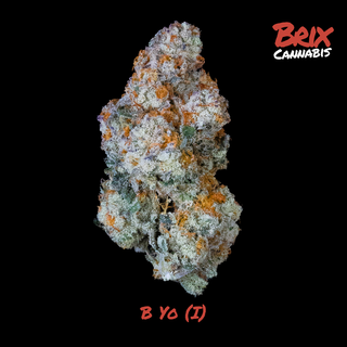 B Yo Brix