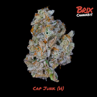 Cap Junk Brix