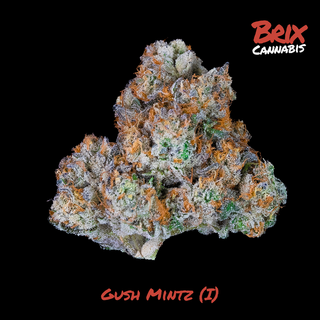 Gush Mintz Brix