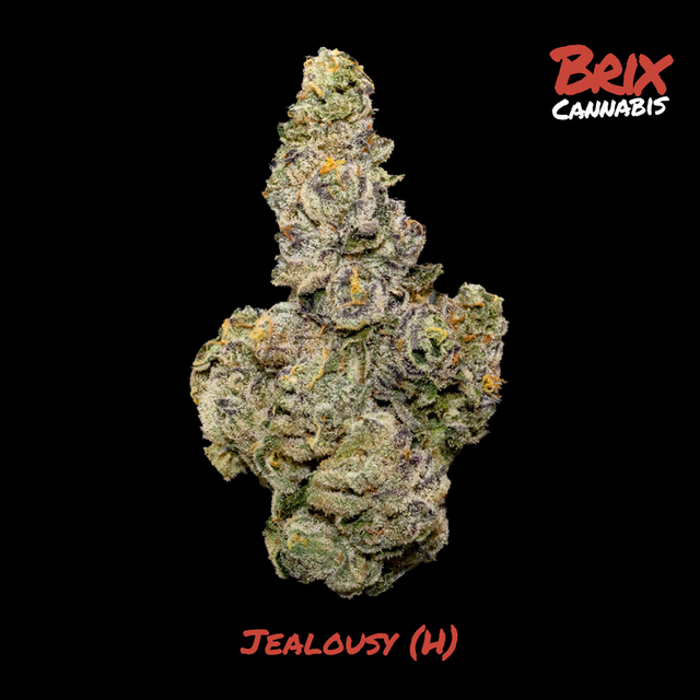 Jealousy Brix