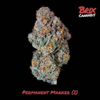 Permanent Marker Brix