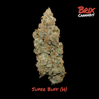 Super Buff Brix
