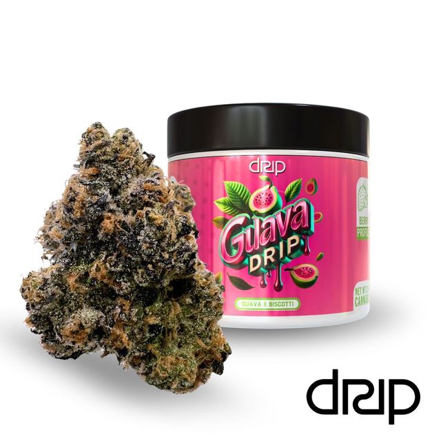 Guava Drip DRIP Guava Drip DRIP