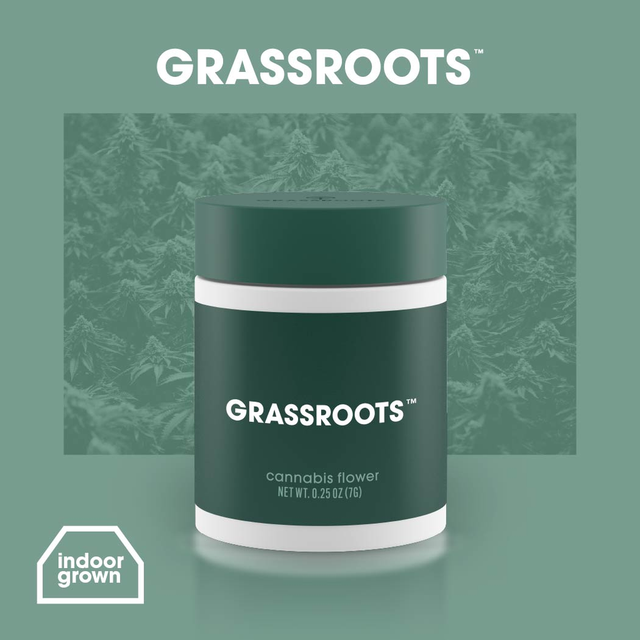 Blue Lobster Grassroots