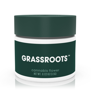 Concord Mintz Grassroots
