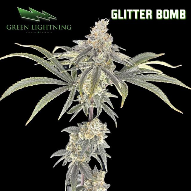 Glitter Bomb Green Lightning Glitter Bomb Green Lightning
