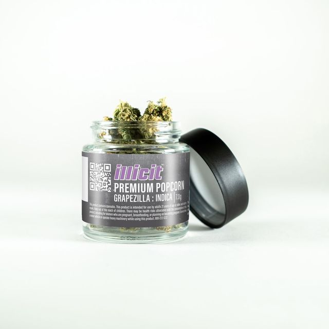 Grapezilla Illicit Grapezilla Illicit
