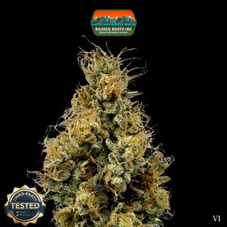 Cannabis Promo, Cannabis Sales, Cannabis Discounts, Cannabis on Sale, 20% Off All Rugged Roots Products! 3